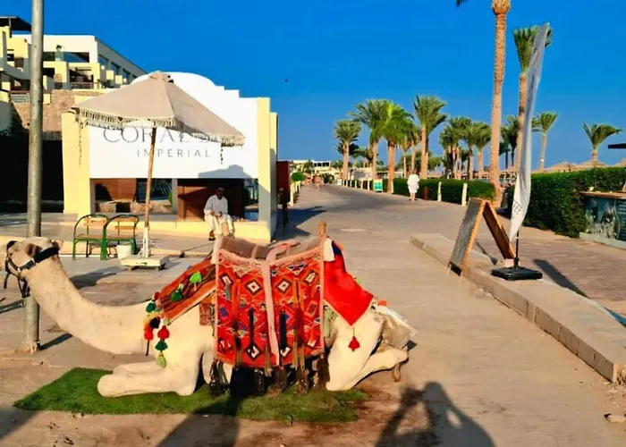 Szálloda Hills Azure Paradise 5*